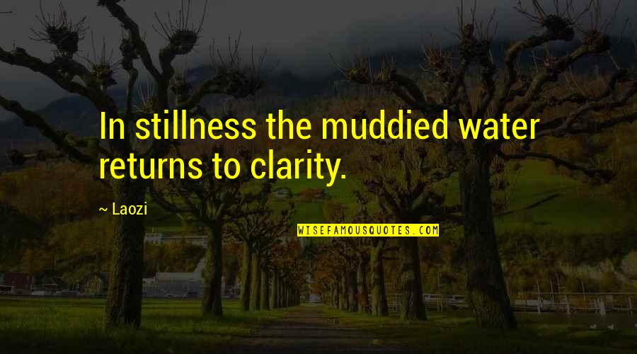 Happy Birthday To The Man I Love Quotes By Laozi: In stillness the muddied water returns to clarity.