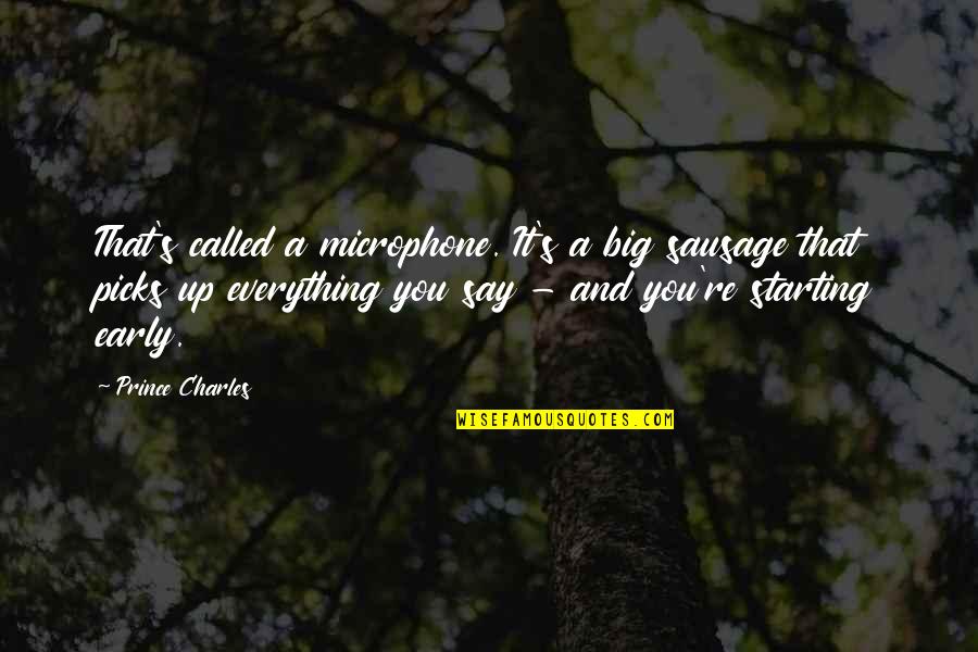Happy Birthday To The Most Important Person In My Life Quotes By Prince Charles: That's called a microphone. It's a big sausage