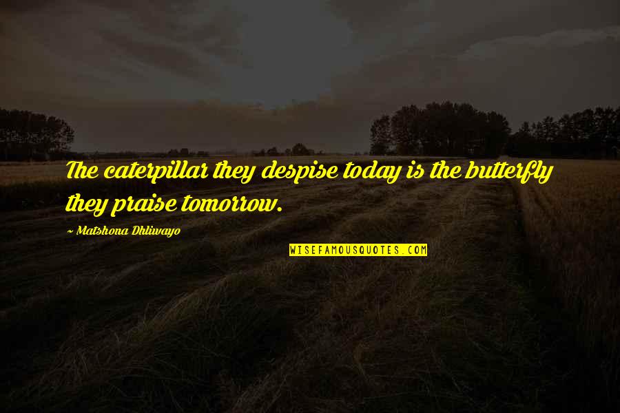 Happy By The Sea Quotes By Matshona Dhliwayo: The caterpillar they despise today is the butterfly