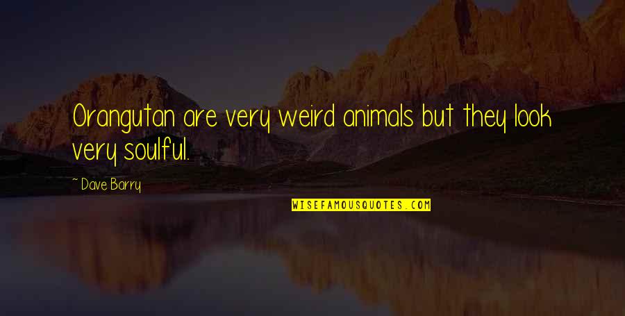 Happy Chocolate Day Love Quotes By Dave Barry: Orangutan are very weird animals but they look