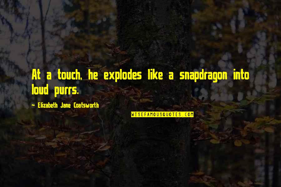 Happy Empty Nester Quotes By Elizabeth Jane Coatsworth: At a touch, he explodes like a snapdragon