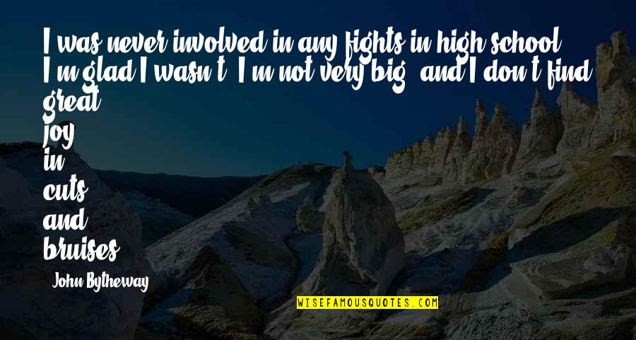 Happy Engineering Day Quotes By John Bytheway: I was never involved in any fights in Happy Engineering Day Quotes By John Bytheway: I was never involved in any fights in