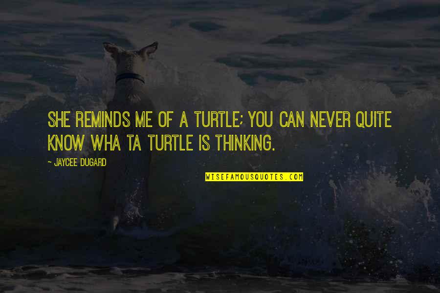 Happy Gowri Ganesha Quotes By Jaycee Dugard: She reminds me of a turtle; you can