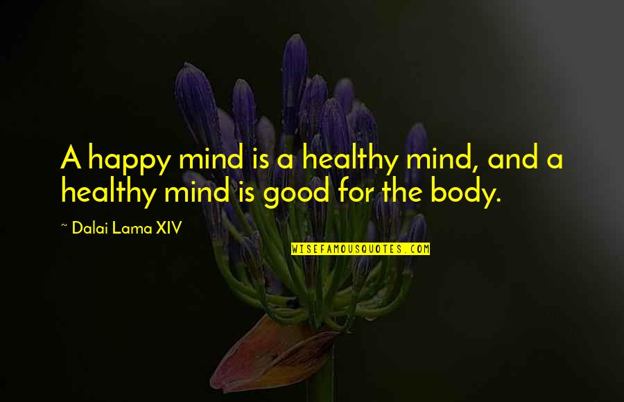 Happy Healthy Quotes By Dalai Lama XIV: A happy mind is a healthy mind, and
