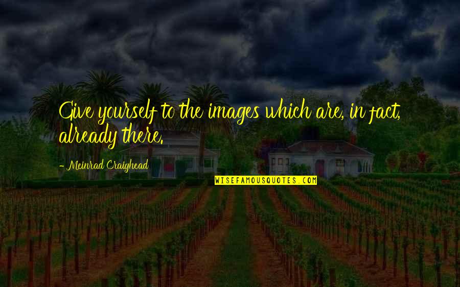 Happy In Your Own Skin Quotes By Meinrad Craighead: Give yourself to the images which are, in