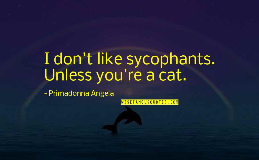 Happy Jumat Quotes By Primadonna Angela: I don't like sycophants. Unless you're a cat. Happy Jumat Quotes By Primadonna Angela: I don't like sycophants. Unless you're a cat.