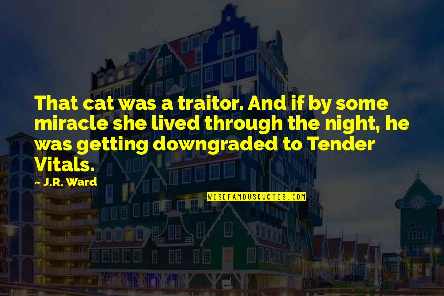 Happy Late Fathers Day Quotes By J.R. Ward: That cat was a traitor. And if by