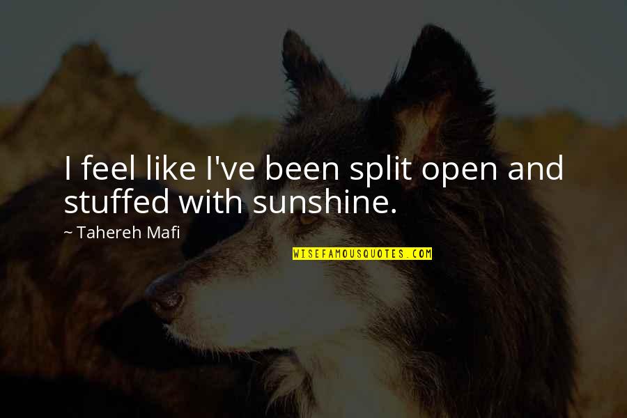 Happy Love Quotes By Tahereh Mafi: I feel like I've been split open and