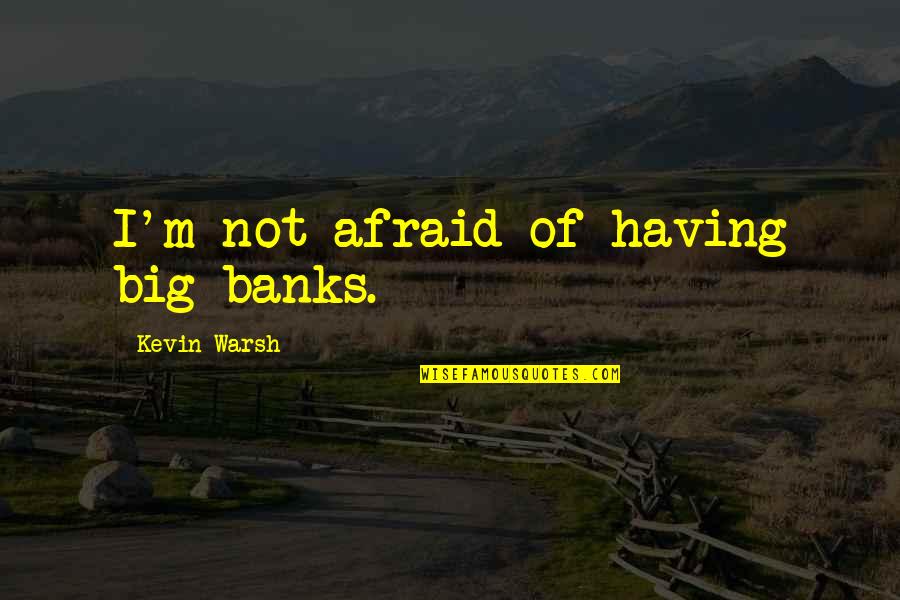 Happy Mothers Day To New Mom Quotes By Kevin Warsh: I'm not afraid of having big banks.