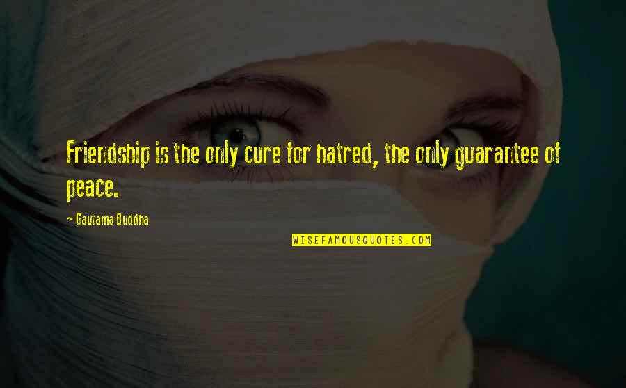 Happy New Year And Birthday Quotes By Gautama Buddha: Friendship is the only cure for hatred, the