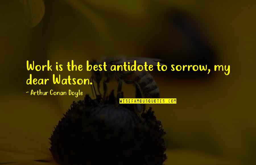 Happy New Year Wish Quotes By Arthur Conan Doyle: Work is the best antidote to sorrow, my