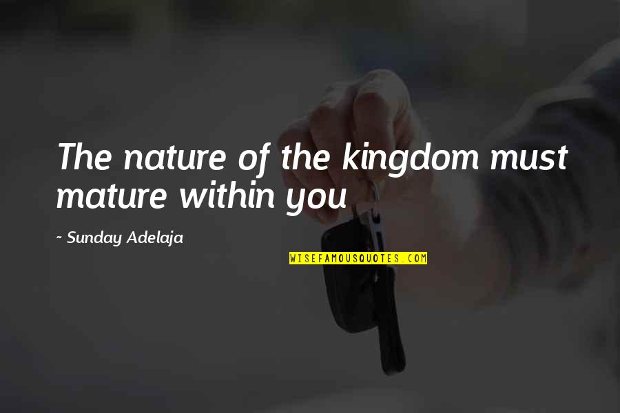 Happy Old Memories Quotes By Sunday Adelaja: The nature of the kingdom must mature within