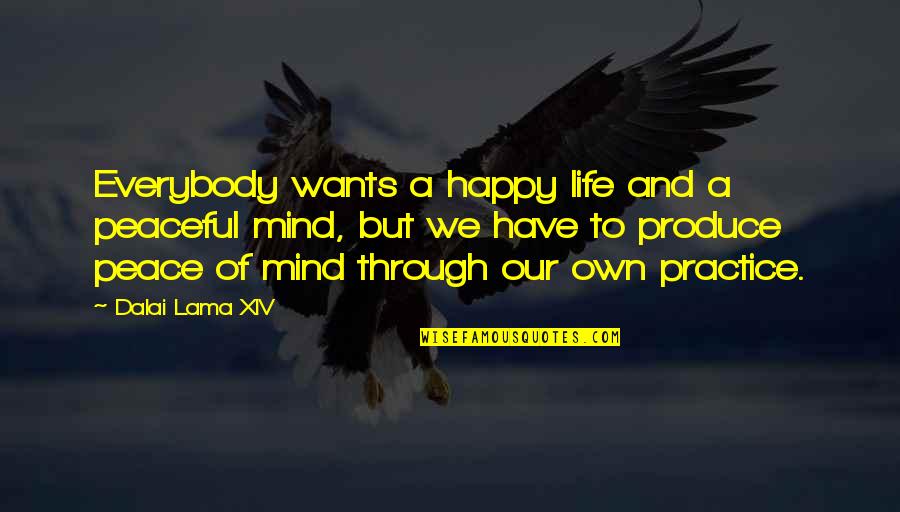 Happy Peaceful Quotes By Dalai Lama XIV: Everybody wants a happy life and a peaceful