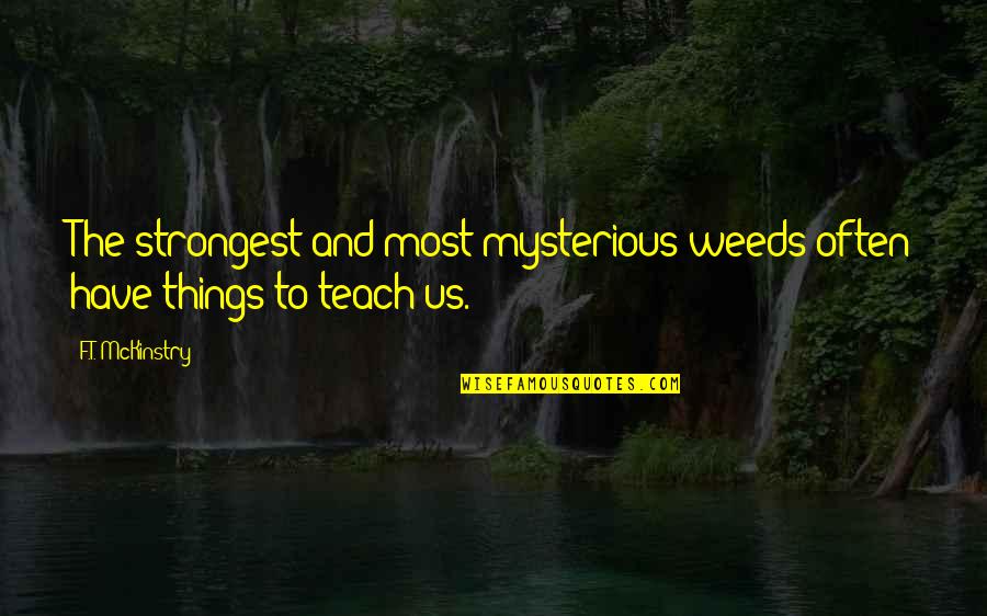 Happy Propose Day My Love Quotes By F.T. McKinstry: The strongest and most mysterious weeds often have