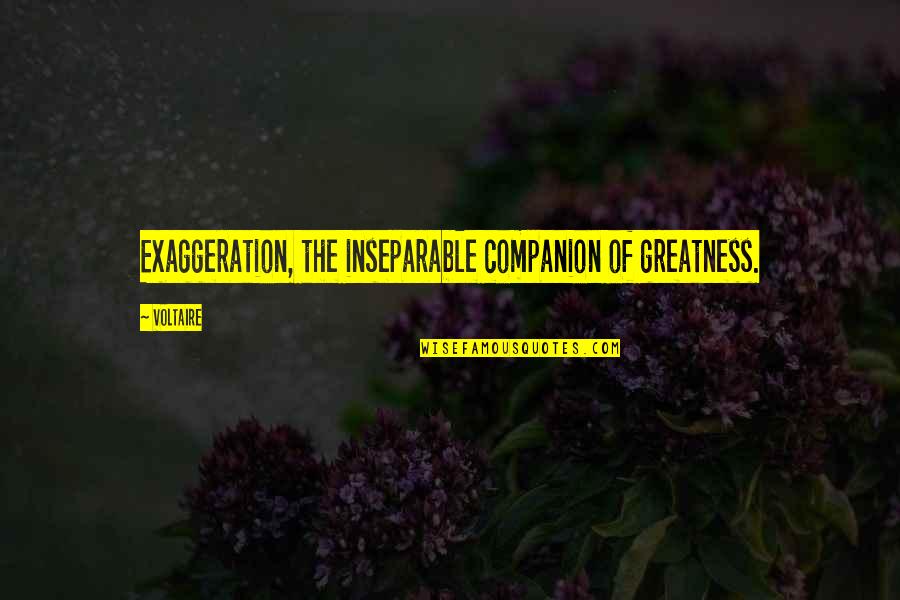Happy Retirement Quotes By Voltaire: Exaggeration, the inseparable companion of greatness.