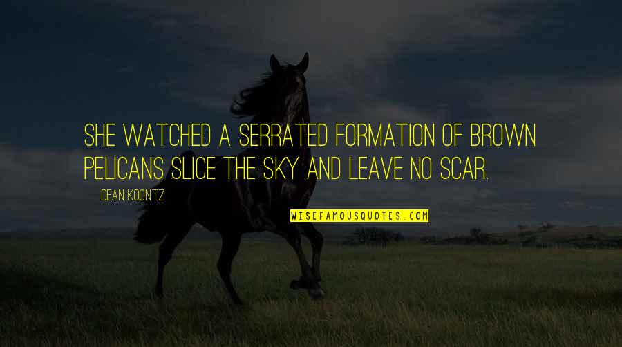 Happy School Holiday Quotes By Dean Koontz: She watched a serrated formation of brown pelicans