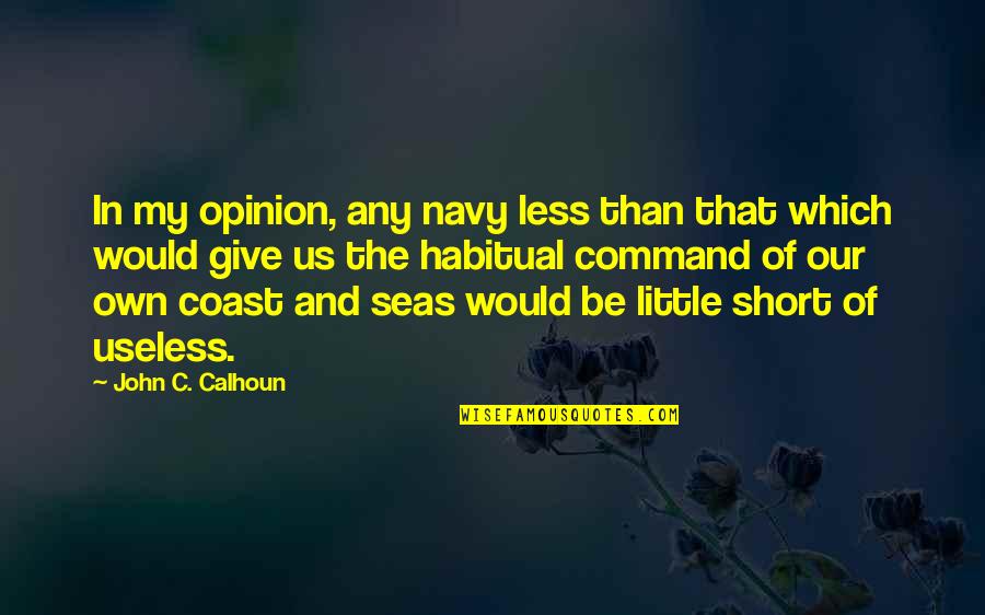 Happy Sunday Dog Quotes By John C. Calhoun: In my opinion, any navy less than that