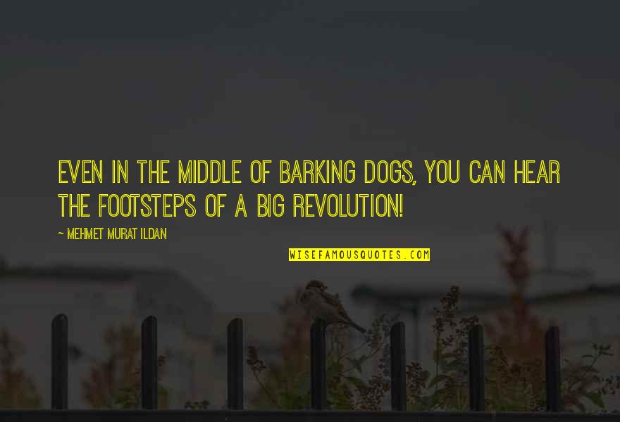 Happy The Movie Quotes By Mehmet Murat Ildan: Even in the middle of barking dogs, you Happy The Movie Quotes By Mehmet Murat Ildan: Even in the middle of barking dogs, you