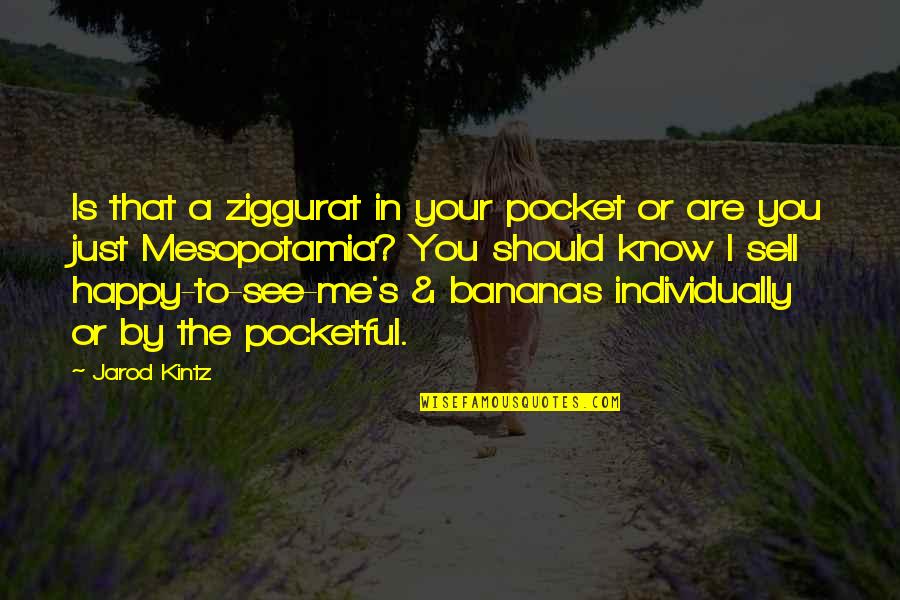 Happy To See You Quotes By Jarod Kintz: Is that a ziggurat in your pocket or