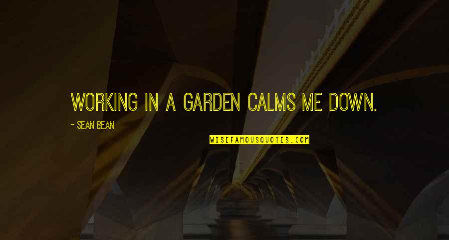 Happy Wishes Quotes By Sean Bean: Working in a garden calms me down. Happy Wishes Quotes By Sean Bean: Working in a garden calms me down.
