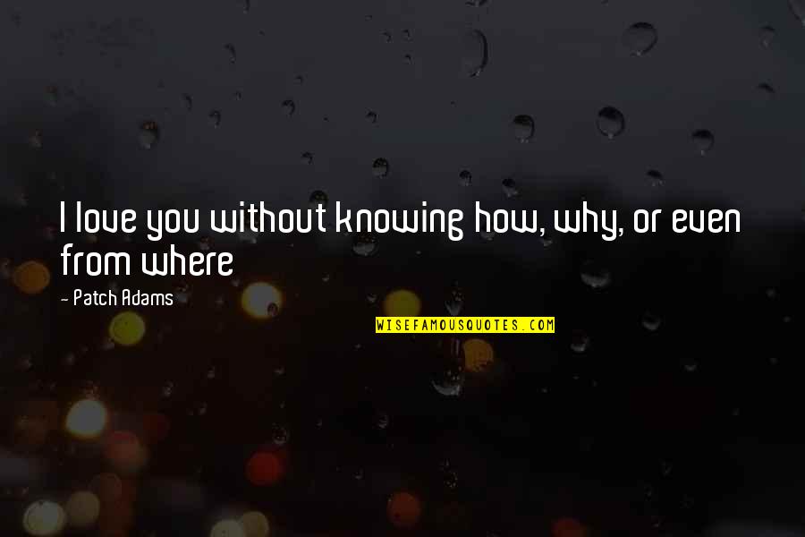 Happy Without Love Quotes By Patch Adams: I love you without knowing how, why, or