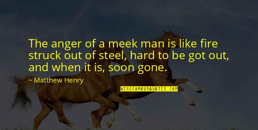 Happy Worker Quotes By Matthew Henry: The anger of a meek man is like