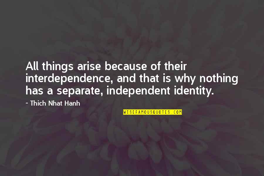 Happy Youth Day 2021 Quotes By Thich Nhat Hanh: All things arise because of their interdependence, and Happy Youth Day 2021 Quotes By Thich Nhat Hanh: All things arise because of their interdependence, and