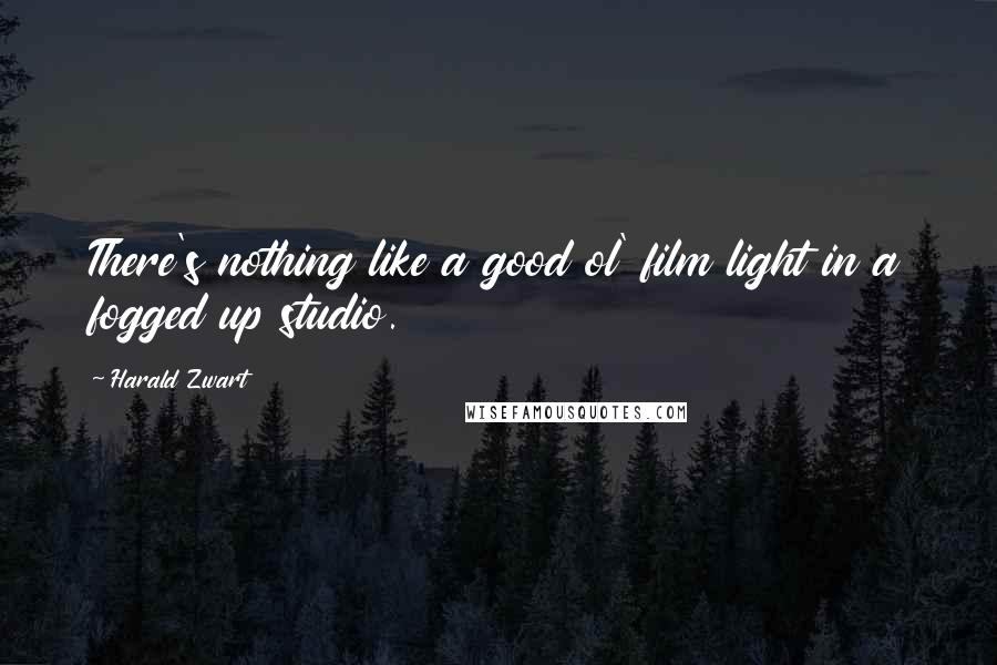 Harald Zwart quotes: There's nothing like a good ol' film light in a fogged up studio. Harald Zwart quotes: There's nothing like a good ol' film light in a fogged up studio.