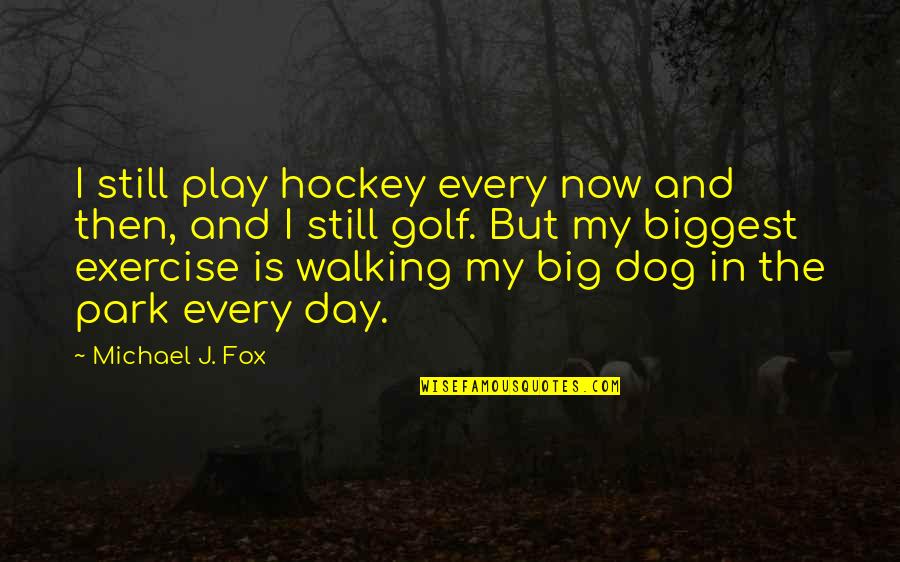 Harald's Quotes By Michael J. Fox: I still play hockey every now and then,