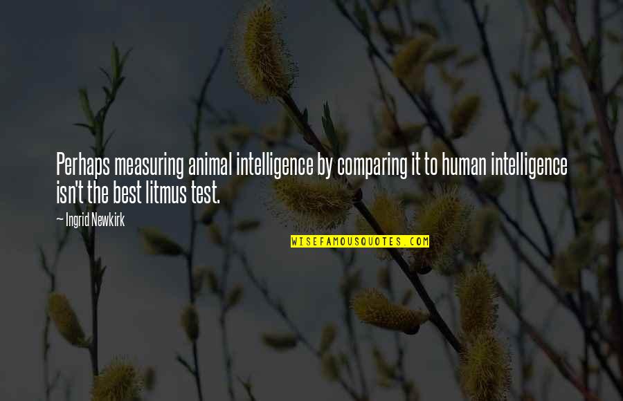 Haram Halal Quotes By Ingrid Newkirk: Perhaps measuring animal intelligence by comparing it to Haram Halal Quotes By Ingrid Newkirk: Perhaps measuring animal intelligence by comparing it to