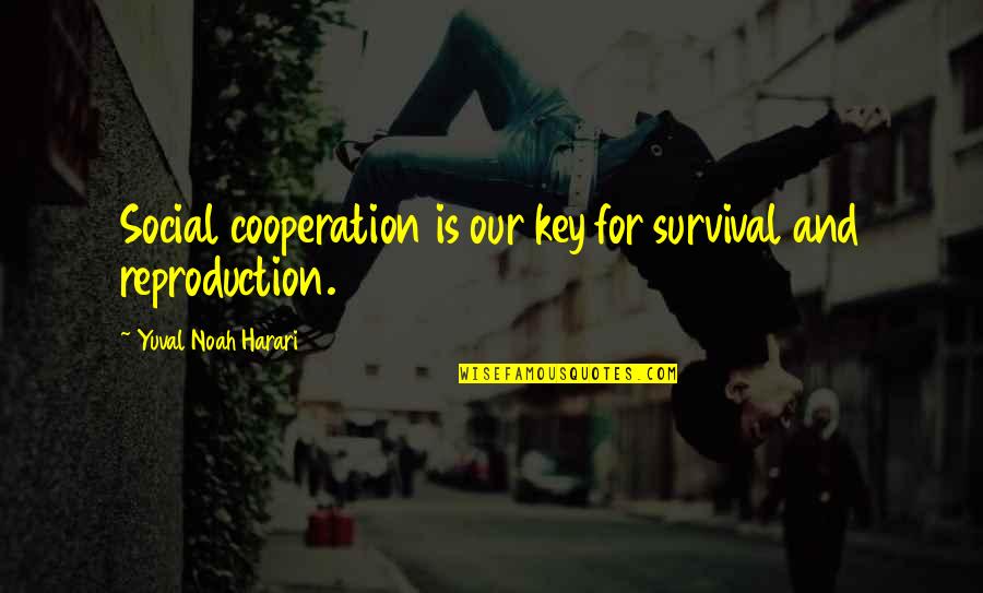 Harari Quotes By Yuval Noah Harari: Social cooperation is our key for survival and