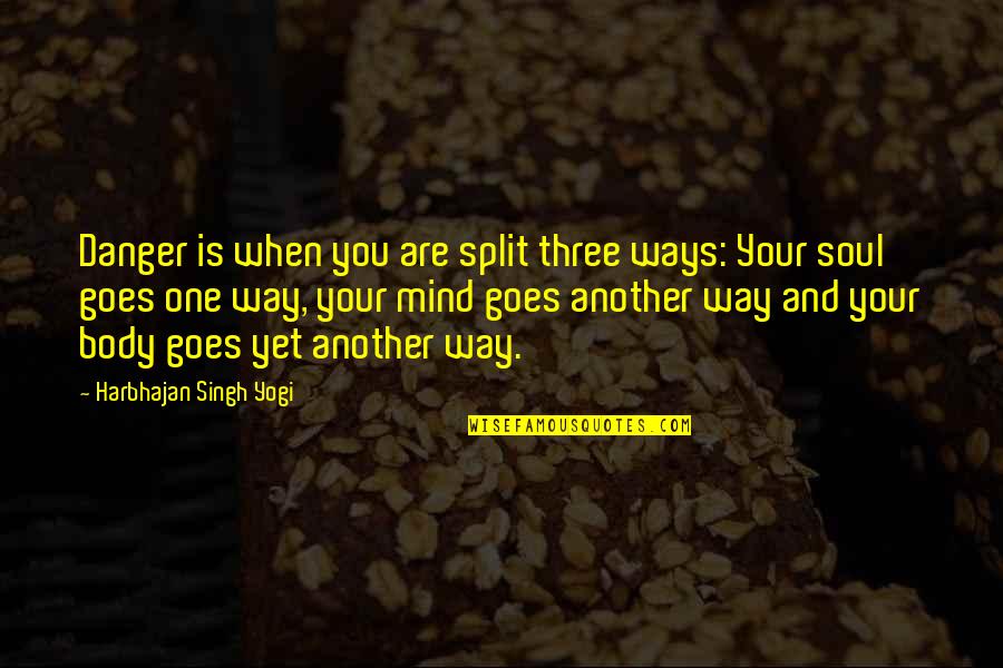Harbhajan Yogi Quotes By Harbhajan Singh Yogi: Danger is when you are split three ways: