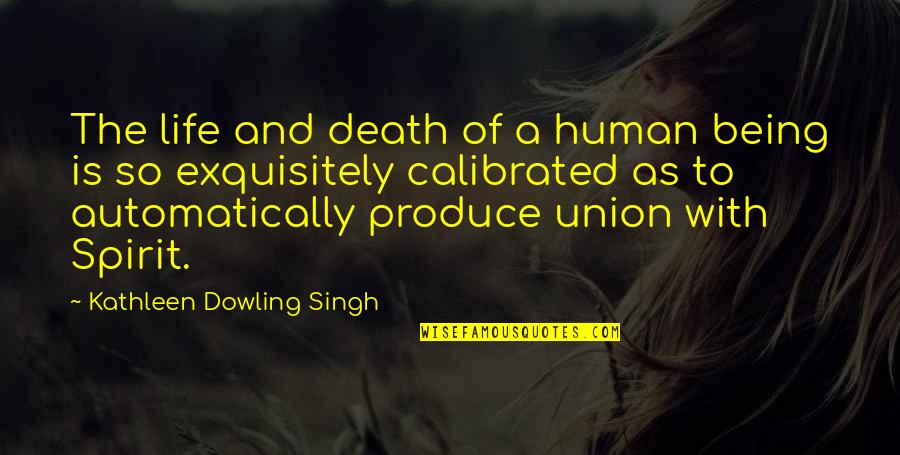 Harcama T Rleri Quotes By Kathleen Dowling Singh: The life and death of a human being