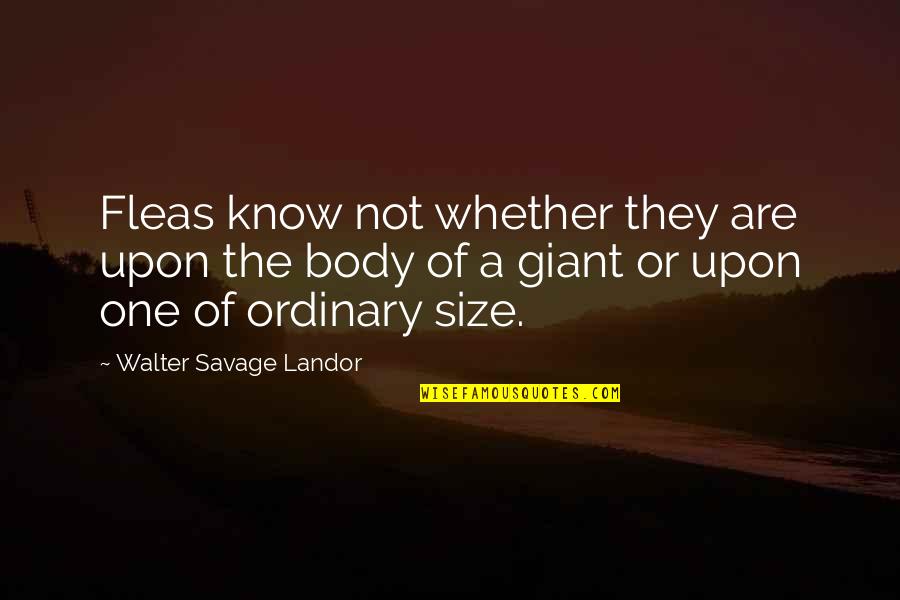 Harcban Lve Quotes By Walter Savage Landor: Fleas know not whether they are upon the