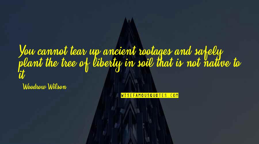 Harcourt Quotes By Woodrow Wilson: You cannot tear up ancient rootages and safely Harcourt Quotes By Woodrow Wilson: You cannot tear up ancient rootages and safely
