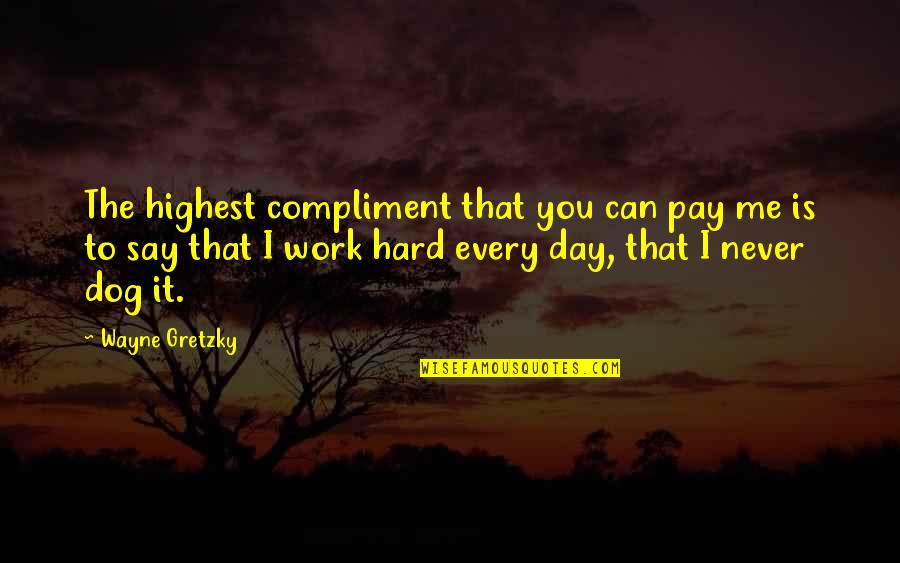Hard Day Work Quotes By Wayne Gretzky: The highest compliment that you can pay me