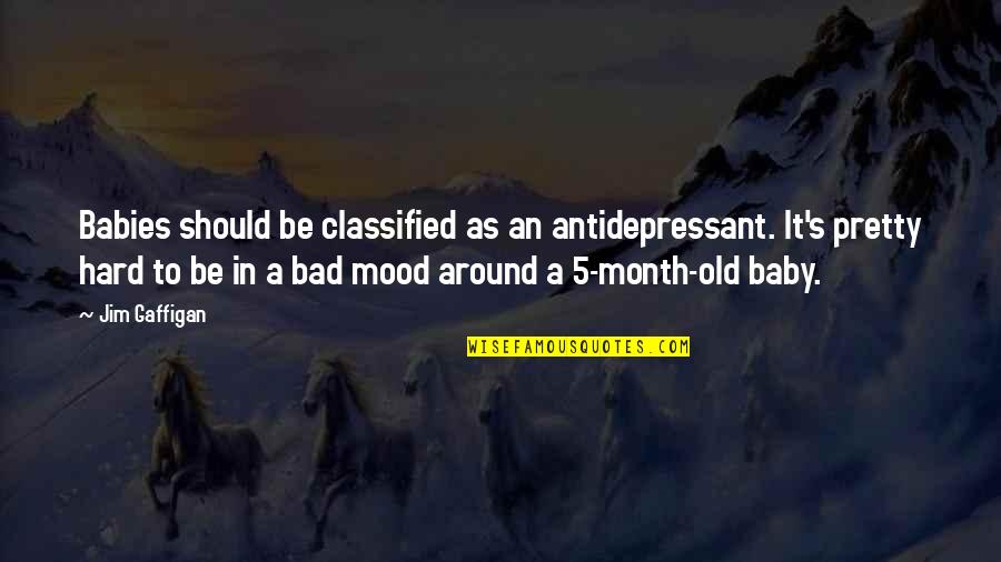 Hard Month Quotes By Jim Gaffigan: Babies should be classified as an antidepressant. It's Hard Month Quotes By Jim Gaffigan: Babies should be classified as an antidepressant. It's
