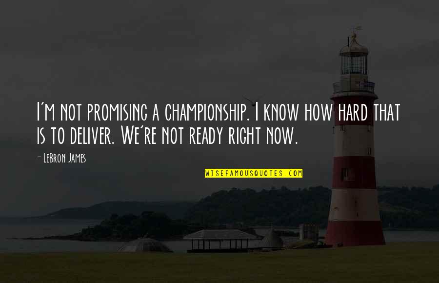 Hard Not Quotes By LeBron James: I'm not promising a championship. I know how
