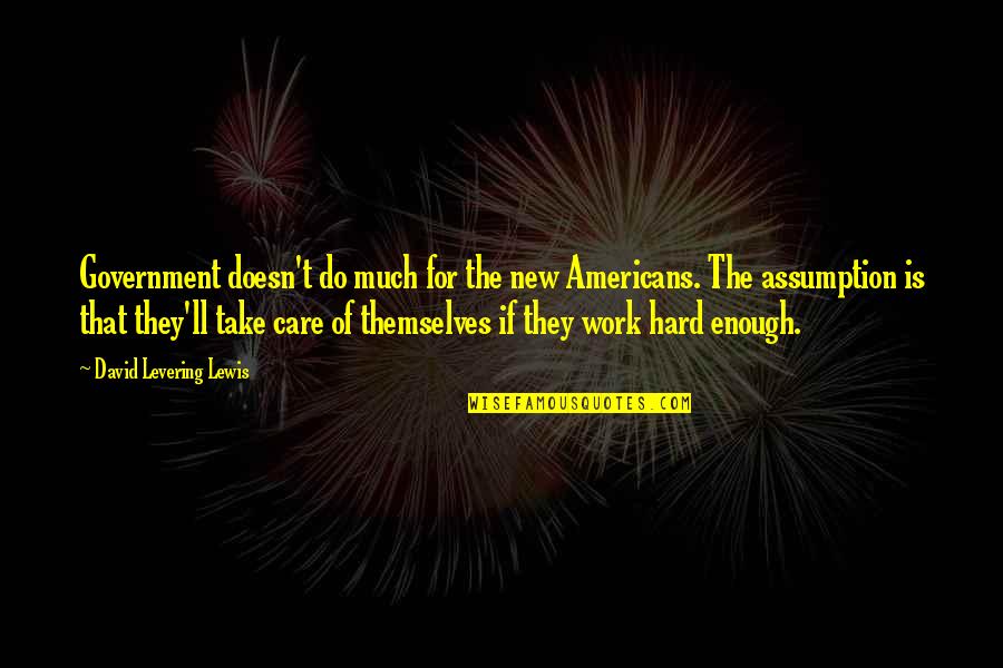 Hard Not To Care Quotes By David Levering Lewis: Government doesn't do much for the new Americans.