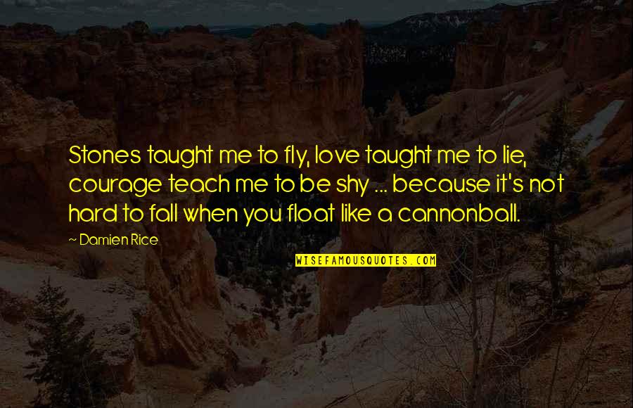 Hard Not To Love Quotes By Damien Rice: Stones taught me to fly, love taught me Hard Not To Love Quotes By Damien Rice: Stones taught me to fly, love taught me
