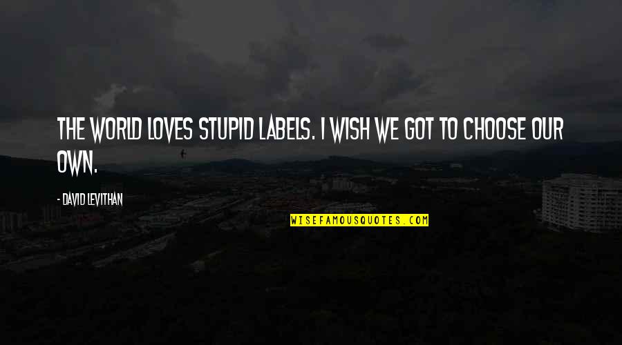 Hard Things Being Worth It Quotes By David Levithan: The world loves stupid labels. I wish we