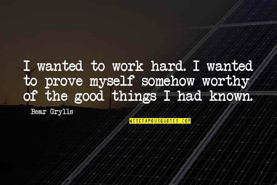 Hard Things Quotes By Bear Grylls: I wanted to work hard. I wanted to