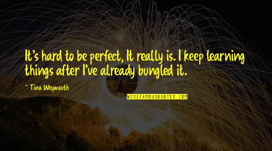 Hard Things Quotes By Tina Weymouth: It's hard to be perfect, It really is.