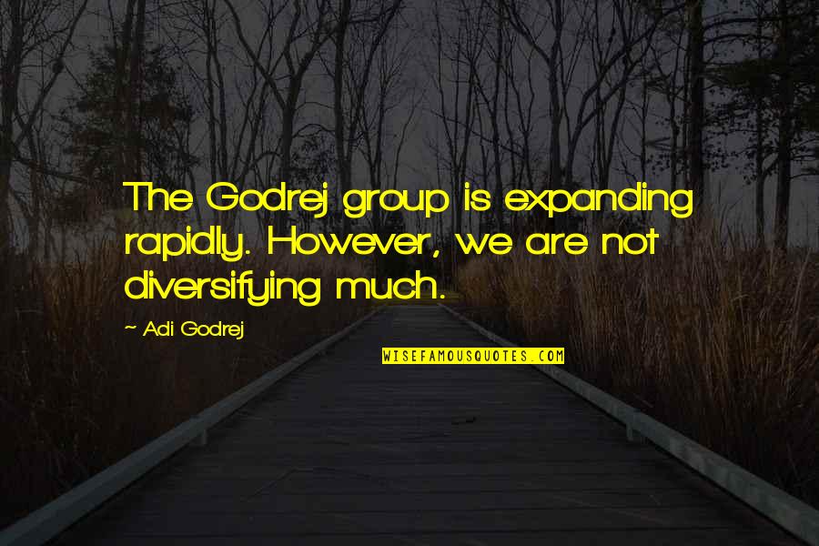 Hard Times In Sports Quotes By Adi Godrej: The Godrej group is expanding rapidly. However, we