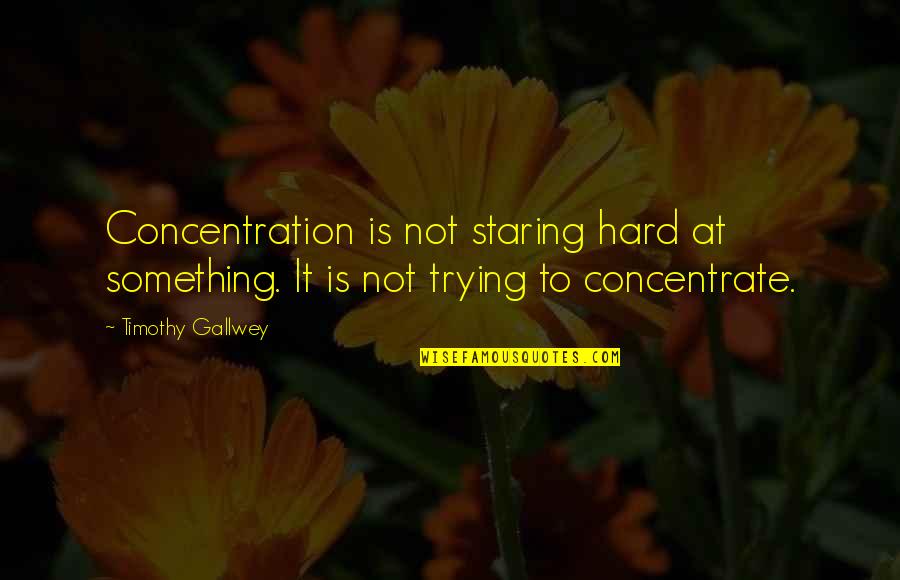 Hard To Concentrate Quotes By Timothy Gallwey: Concentration is not staring hard at something. It