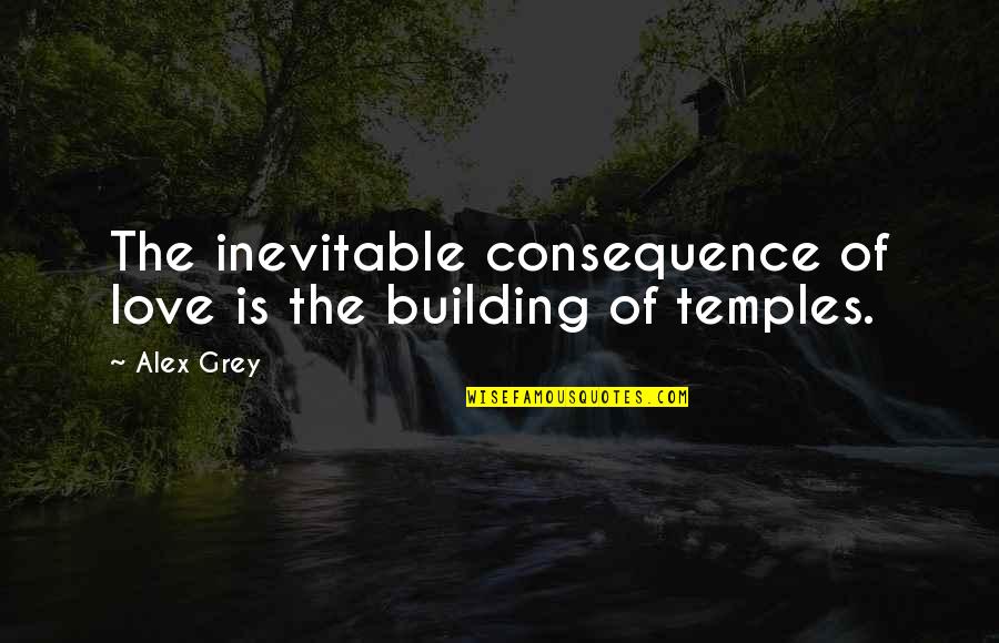 Hard To Convince Quotes By Alex Grey: The inevitable consequence of love is the building
