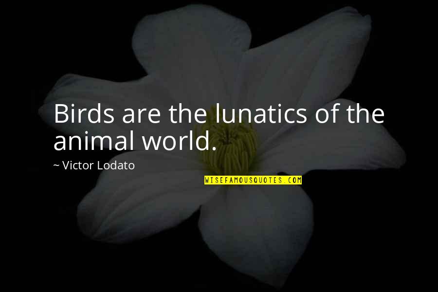 Hard To Earn Money Quotes By Victor Lodato: Birds are the lunatics of the animal world.