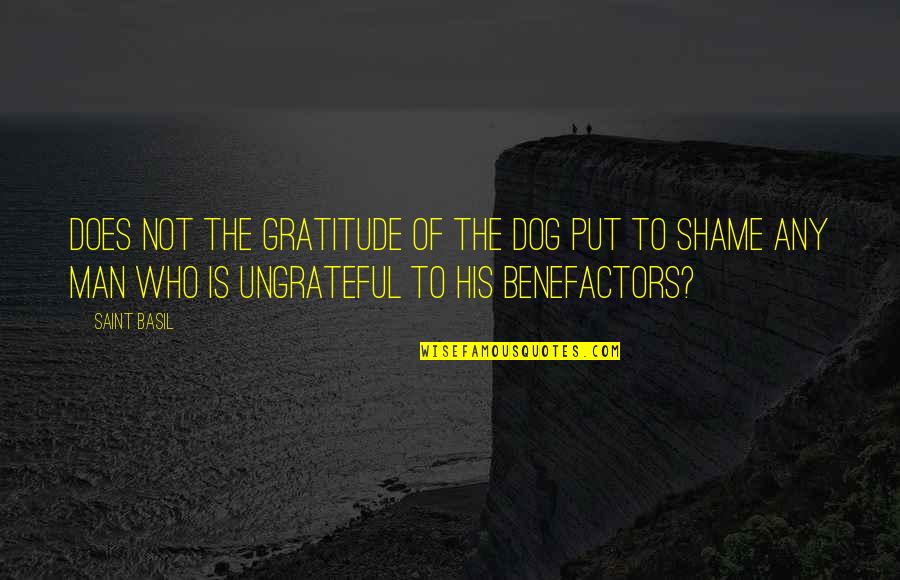 Hard To Find Money Quotes By Saint Basil: Does not the gratitude of the dog put