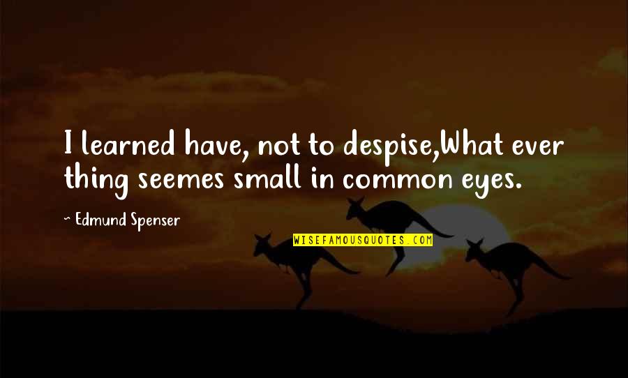 Hard To Guess Disney Quotes By Edmund Spenser: I learned have, not to despise,What ever thing