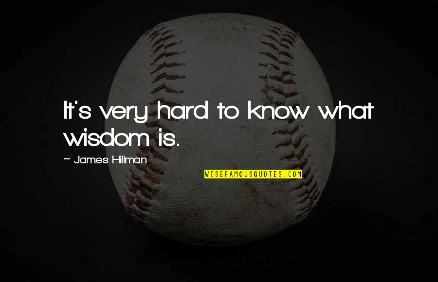 Hard To Know Quotes By James Hillman: It's very hard to know what wisdom is.